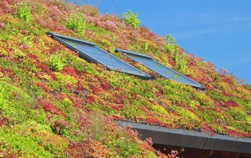 Clow Bridge living roof systems
